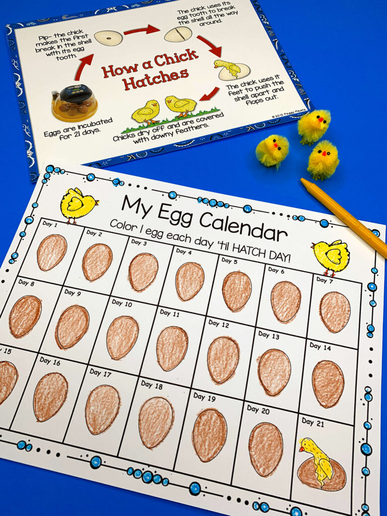 calendar for hatching chicks in the classroom