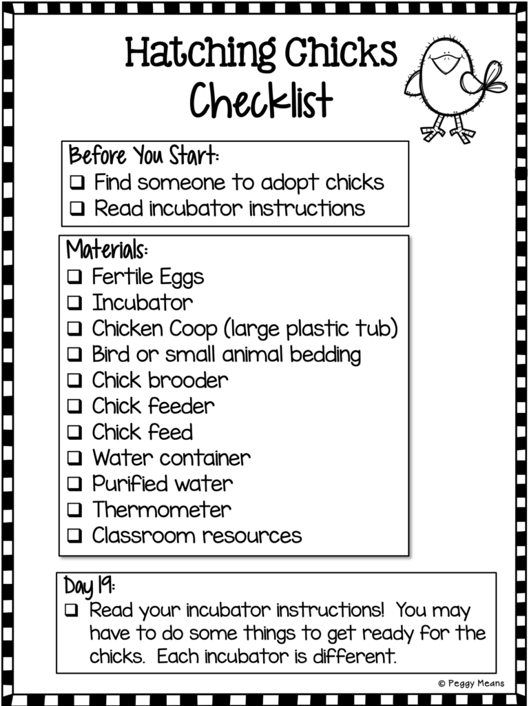 checklist for hatching chicks in the classroom