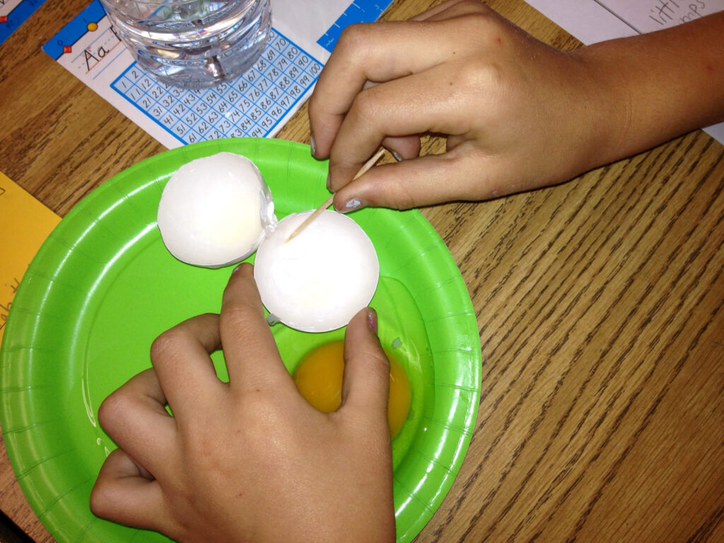 egg lab for hatching chicks in the classroom